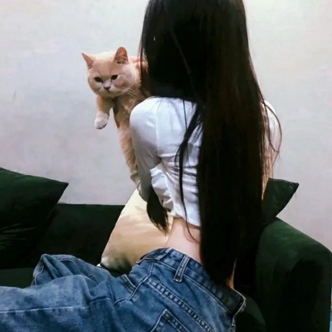诺艾尔