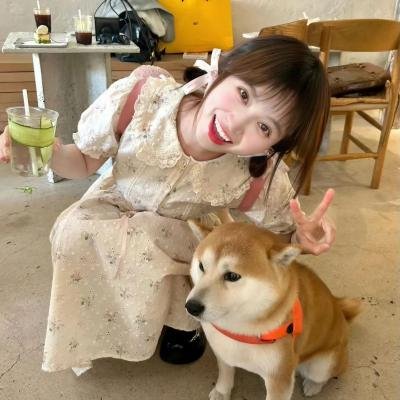 乌冬面之国的金色毛球